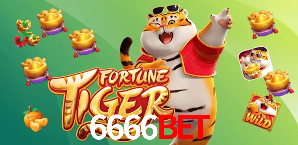 Sports Statistics 6666BET